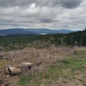 Meet your Posher, Gary